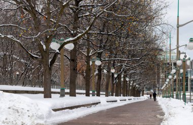Ottawa, Canada - January 23, 2023: Sidewalk near Major's Hill Park in winter season. Road with walking people in winter season. Pathway with snow and trees in downtown.