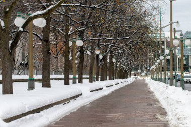 Ottawa, Canada - January 23, 2023: Sidewalk near Major's Hill Park in winter. Road with snow and trees in downtown.
