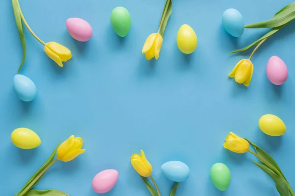 Easter spring background with copy space. Frame of easter eggs and yellow flowers on blue.
