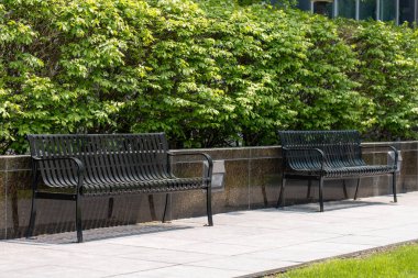 Güneşli bir yaz gününde ofis binasının yakınında yeşil çalıları olan bir parkta iki siyah metal bank.