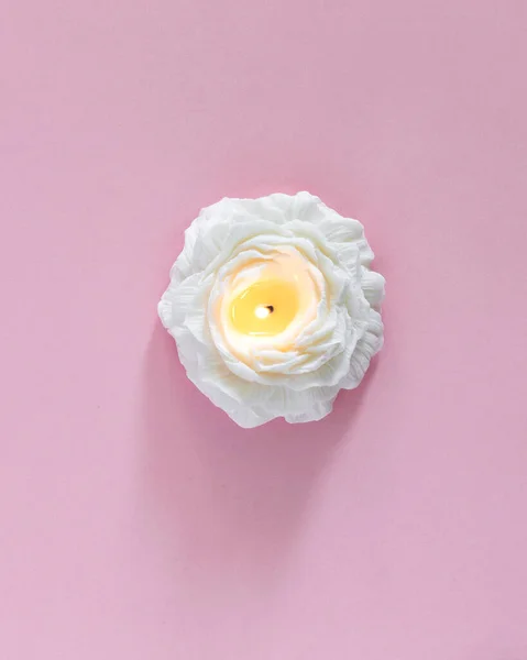 White peony flower handmade soy wax candle isolated on pink background.