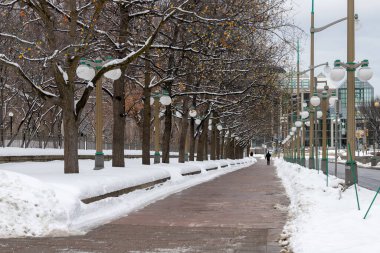 Ottawa, Canada - January 23, 2023: Sidewalk near Major's Hill Park in winter season. Road with walking people in winter season. Pathway with snow and trees in downtown.