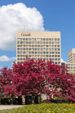 Ulusal Savunma Karargahı, Kuzey Kulesi, NDHQ. İlkbaharda parktaki çiçek açan ağaçla birlikte şehir merkezindeki hükümet binası - Ottawa, Kanada - 16 Mayıs 2024