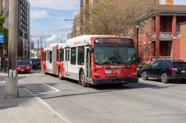 Ottawa, Kanada - 11 Mayıs 2024: Yoldaki halk otobüsü, OC Transpo