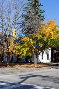 Ottawa, Kanada - 4 Kasım 2023: Sonbaharda sokakta trafik ışıkları