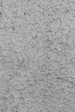 Peeling grey paint on the wall. Old cracked textured background. clipart