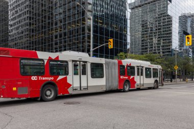 Ottawa, Kanada - 1 Ekim 2024: OC Transpo halk otobüsü şehir merkezinde yolda