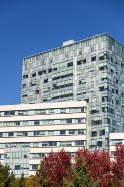 Ottawa, Kanada - 17 Ekim 2024: Ottawa Üniversitesi.