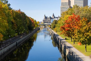 Kanada 'nın Ottawa kentindeki Rideau Kanalı sonbahar mevsiminde yapraklarla kaplıdır.