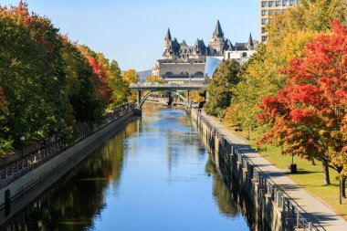 Kanada 'nın Ottawa kentindeki Rideau Kanalı sonbahar mevsiminde yapraklarla kaplıdır.