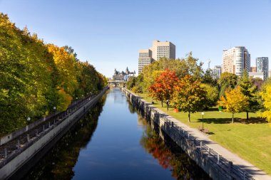 Kanada 'nın Ottawa kentindeki Rideau Kanalı sonbahar mevsiminde yapraklarla kaplıdır.