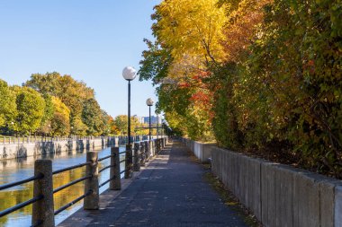 Kanada, Ottawa 'daki Rideau Kanalı, sonbahar sezonu boyunca. Sonbahar yaprakları ve deniz kıyısında parkı olan huzurlu bir patika..
