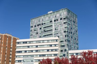 Ottawa, Kanada - 17 Ekim 2024: Ottawa Üniversitesi.