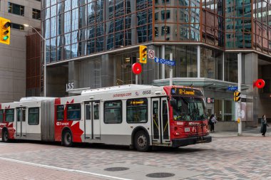 Ottawa, Kanada - 1 Ekim 2024: OC Transpo halk otobüsü şehir merkezinde yolda
