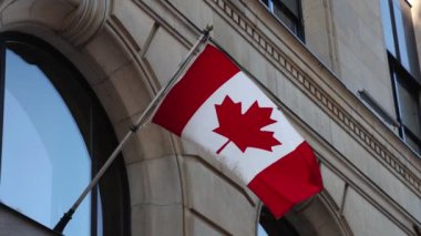 Kanada 'nın Ottawa şehir merkezindeki inşaatında Kanada bayrakları