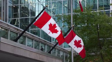 Kanada 'nın Ottawa şehir merkezindeki inşaatında Kanada bayrakları