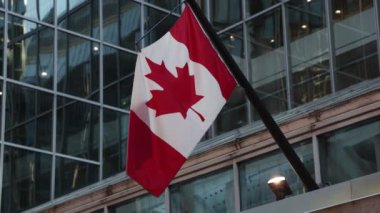 Kanada 'nın Ottawa şehir merkezindeki inşaatında Kanada bayrakları