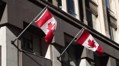 Kanada 'nın Ottawa şehir merkezindeki Sparks Caddesi' ndeki tarihi binada Kanada bayrakları
