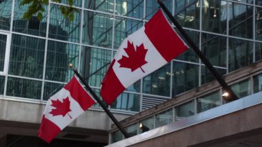 Kanada 'nın Ottawa şehir merkezindeki inşaatında Kanada bayrakları