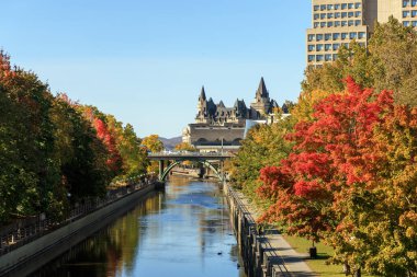 Kanada 'nın Ottawa kentindeki Rideau Kanalı sonbahar mevsiminde yapraklarla kaplıdır.