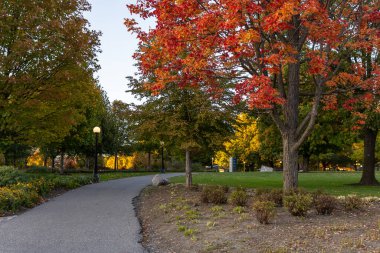 Kanada, Ottawa şehir merkezindeki Major 's Hill Parkı, sonbahar mevsiminde ağaçlar renk değiştiriyor ve yol değiştiriyor..