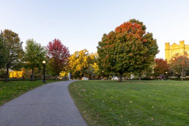 Kanada, Ottawa şehir merkezindeki Major 's Hill Parkı' nda sonbahar mevsiminde ağaçlar renk değiştirirken..