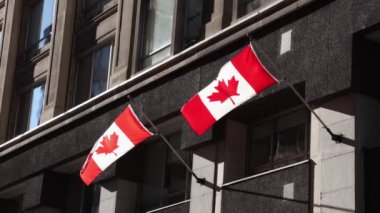 Kanada 'nın Ottawa şehir merkezindeki inşaatında Kanada bayrakları