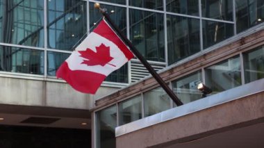 Kanada 'nın Ottawa şehir merkezindeki inşaatında Kanada bayrakları