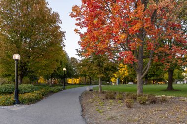 Kanada, Ottawa şehir merkezindeki Major 's Hill Parkı, sonbahar mevsiminde ağaçlar renk değiştiriyor ve yol değiştiriyor..