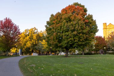 Kanada, Ottawa şehir merkezindeki Major 's Hill Parkı' nda sonbahar mevsiminde ağaçlar renk değiştirirken..
