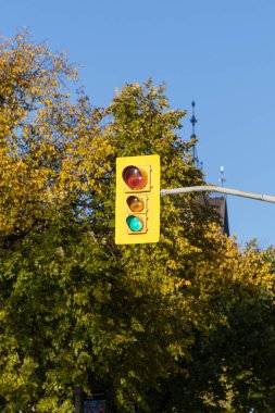 Sonbaharda Kanada 'nın Ottawa şehrinin caddesinde trafik ışıkları. Yeşil ışık