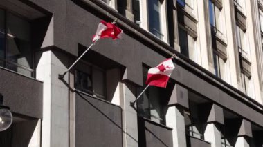 Kanada 'nın Ottawa şehir merkezindeki Sparks Caddesi' ndeki tarihi binada Kanada bayrakları