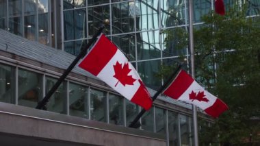 Kanada 'nın Ottawa şehir merkezindeki inşaatında Kanada bayrakları