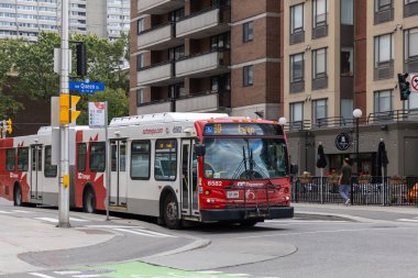 Ottawa, Kanada - 1 Ekim 2024: OC Transpo halk otobüsü şehir merkezinde yolda