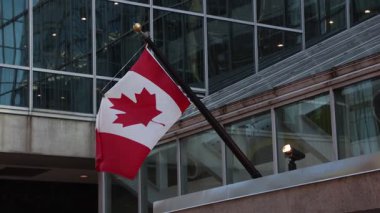 Kanada 'nın Ottawa şehir merkezindeki inşaatında Kanada bayrakları