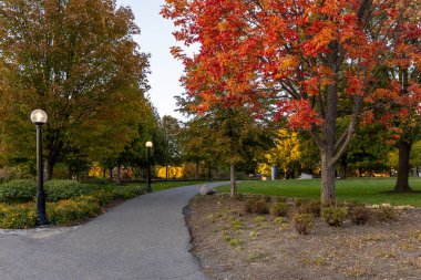 Kanada, Ottawa şehir merkezindeki Major 's Hill Parkı, sonbahar mevsiminde ağaçlar renk değiştiriyor ve yol değiştiriyor..