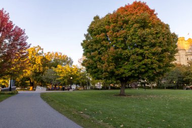 Kanada, Ottawa şehir merkezindeki Major 's Hill Parkı' nda sonbahar mevsiminde ağaçlar renk değiştirirken..