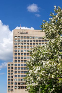 Ottawa, Kanada - 16 Mayıs 2024: İlkbaharda çiçek açan ağaçla birlikte şehir merkezinde hükümet binası. Ulusal Savunma Karargahı, Kuzey Kulesi, NDHQ.