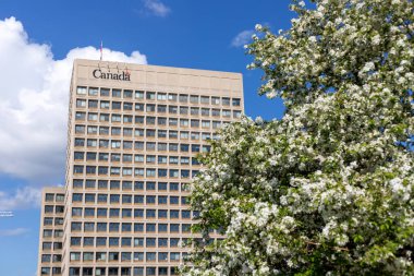 Ottawa, Kanada - 16 Mayıs 2024: İlkbaharda çiçek açan ağaçla birlikte şehir merkezinde hükümet binası. Ulusal Savunma Karargahı, Kuzey Kulesi, NDHQ.