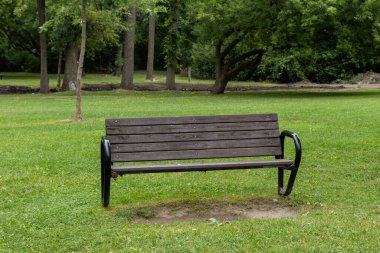 Yazın yeşil çimlerle parktaki bankta.