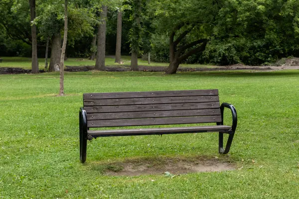 Yazın yeşil çimlerle parktaki bankta.