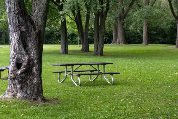 Yazın parkta yeşil çimlerin üzerinde piknik masası..