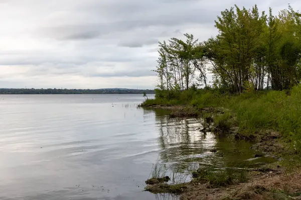 Bulutlu gökyüzü olan nehir kıyısı. Rıhtım manzarası ve ufuk çizgisi. Yazın ağaçlarla dolu nehir kenarında.