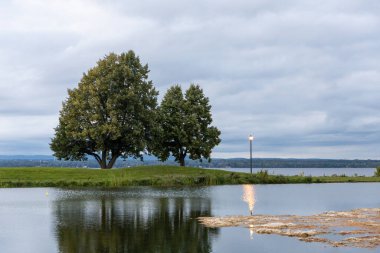 Yazın ağaçlarla dolu bir limanda. Andrew Haydon Parkı, Ottawa, Kanada.