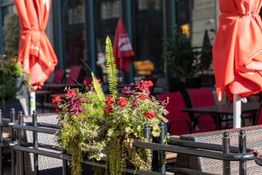 Açık hava restoranının verandasında. Güneşli bir günde, içinde taze çiçekler, sandalyeler ve masalar olan kafe terasında. Açık hava çiçek dekoru.