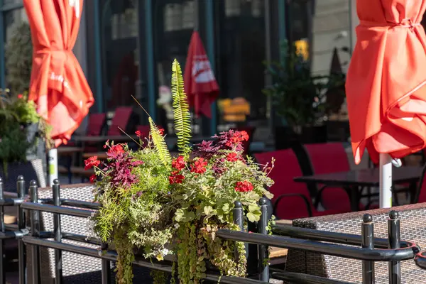 Açık hava restoranının verandasında. Güneşli bir günde, içinde taze çiçekler, sandalyeler ve masalar olan kafe terasında. Açık hava çiçek dekoru.