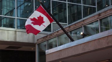 Kanada 'da Ottawa şehir merkezindeki binada Kanada bayrağı var.