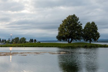 Yazın parktaki ağaçların olduğu rıhtım. Andrew Haydon Parkı, Ottawa, Kanada.