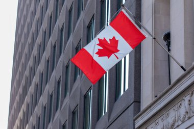 Kanada bayrağı Ottawa şehrinin merkezinde, Ontario Kanada 'da