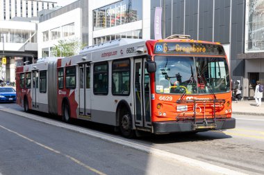 Ottawa, Kanada - 13 Haziran 2025: Rideau caddesinde şehir merkezinde halk otobüsü. OC Aktarım